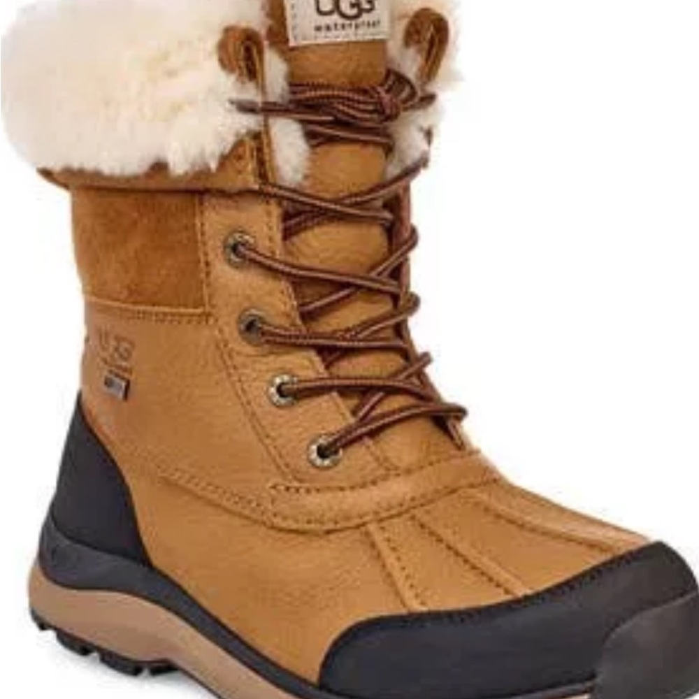 UGG Adirondack Chestnut Boots with Black Trim